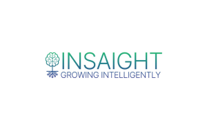 Insaight